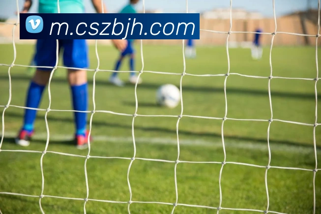 彩神争霸服务体系